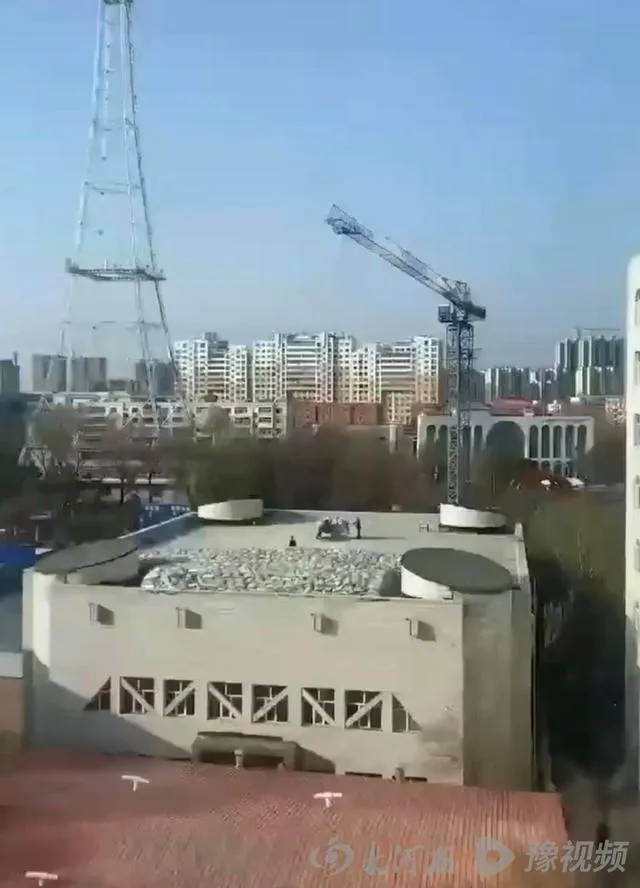 黑龙江嘉美建设有限公司怎么样 齐齐哈尔体育馆事故施工单位曝光