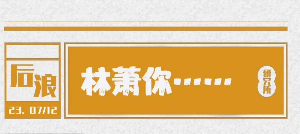 林萧是什么意思 林萧你现在骂人真够高级的