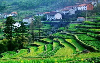 美丽乡村建设的标准,政策解读：建设美丽乡村建设的标准