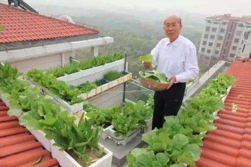 楼顶上种菜承受得了多重,危险！居民楼顶种菜的大铁架子倒了