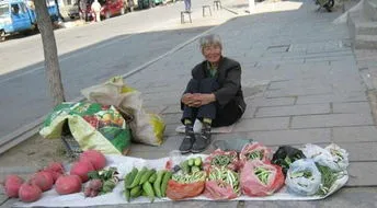 老人卖菜生活不易的句子,82岁退休教师的独居生活：12元的盒饭分三顿吃，跟花说话聊天