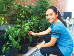 私自种菜违法吗,楼顶能种花种菜吗？长沙一小区楼顶种菜20多年，物业通知拆除