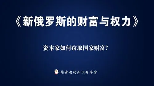 寡头新俄罗斯的财富与权力 寡头新俄罗斯的财富与权力PDF