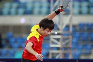 林高远对林昀儒比赛结果 林高远对林昀儒比赛结果世乒赛