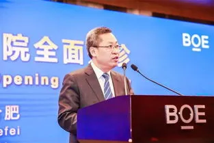 合肥京东方部长级别年薪 合肥京东方部长级别年薪是多少