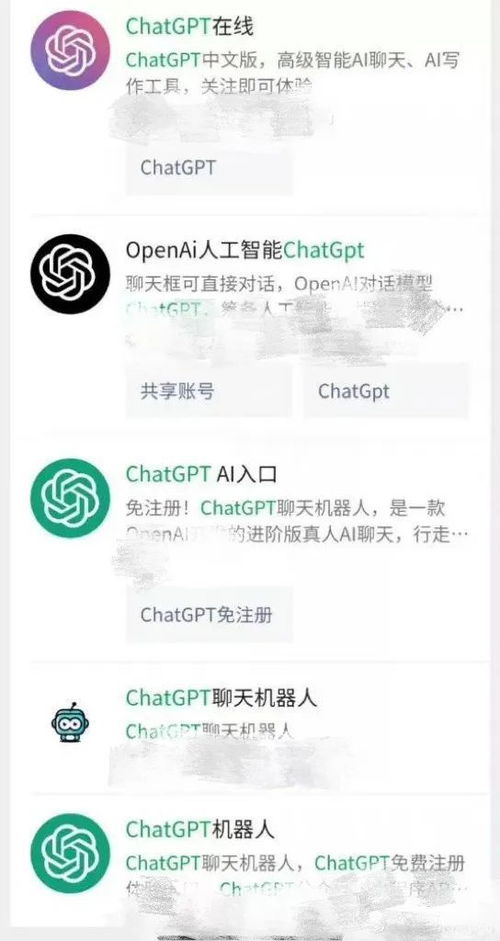 国内怎么玩chatGPT