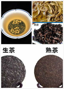 普洱茶生茶和熟茶哪个好,普洱茶生茶和熟茶的区别哪家好？