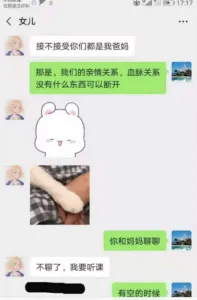 鄂州一家亲事件完整聊天记录（鄂州一家三口373页聊天截图ppt下载）-李同学