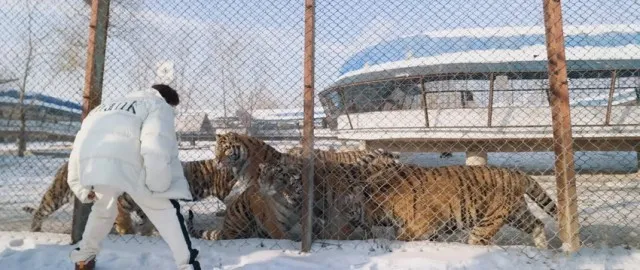 五哈是什么鬼 五哈是什么卫视 五哈是什么综艺节目