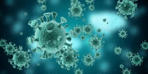 病毒何时能结束,外国卫生专家警告：2022年结束，新的冠状病毒变种的风险没有结束