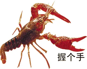 吃龙虾美甲变色了怎么办 吃龙虾美甲变色了怎么办呢