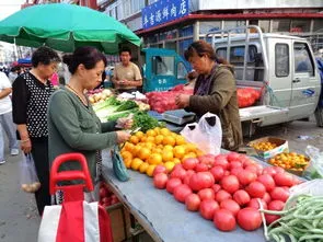菜市场菜贩子一天收入 新手做蔬菜生意怎么拿货