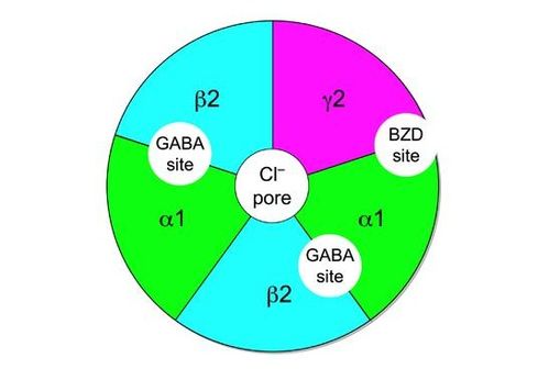 alpha什么意思,Alpha beta omega都是什么意思？