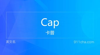 cap是什么意思,化工中CAP是什么意思？