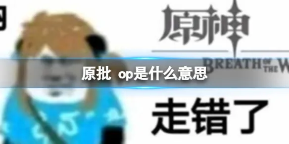 原批op是什么意思 为什么原批叫op