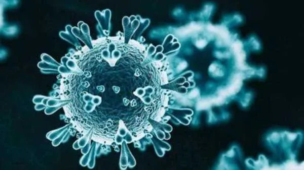免疫力越强感染新冠越发烧吗 新冠疫苗免疫力越强 为什么免疫力可以抵御新冠