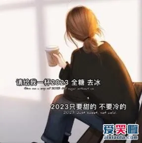 来一杯2023，全糖去冰是什么意思？