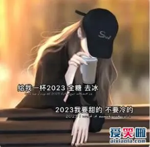 来一杯2023，全糖去冰是什么意思？