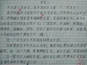 感恩消防员作文400字 感恩消防员作文400字左右