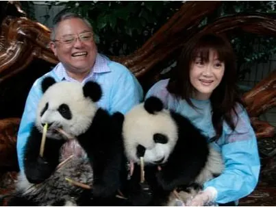 个人认养大熊猫条件 萌兰为什么没人认养了