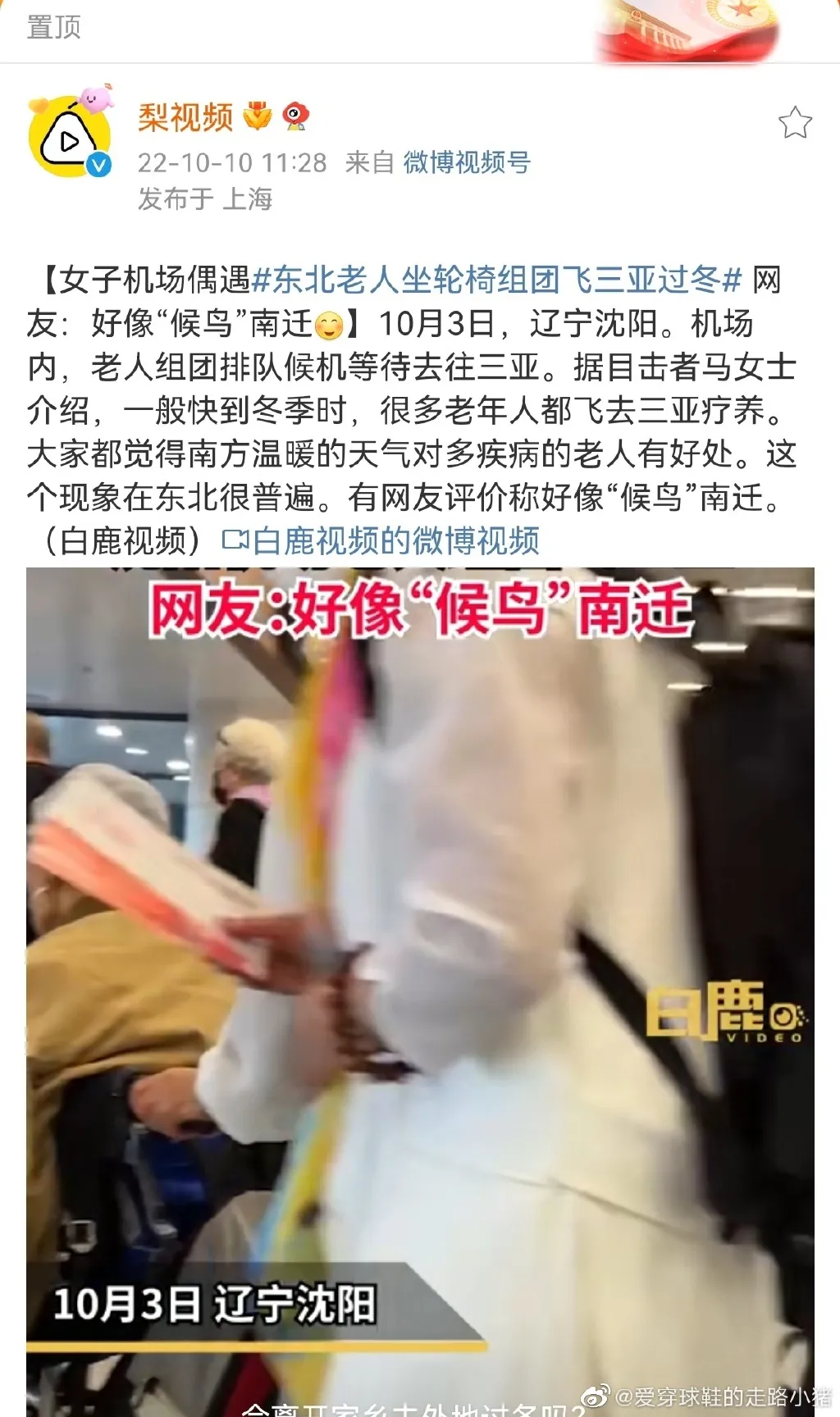 东北老人坐轮椅组团飞三亚过冬,带老人去三亚旅游可以坐轮椅吗