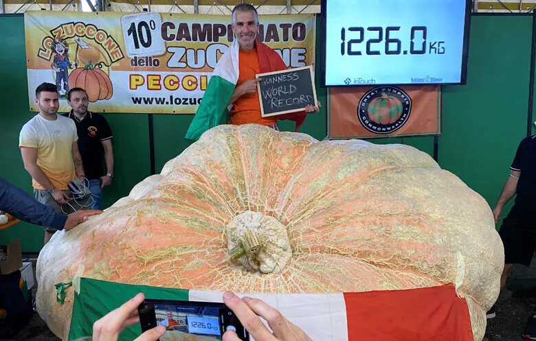 安徽一老人种出104斤巨型冬瓜,安徽的冬瓜