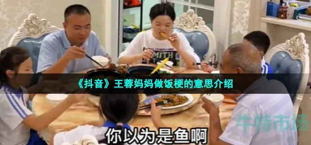 王蓉妈妈做饭视频 为什么要模仿王蓉妈妈