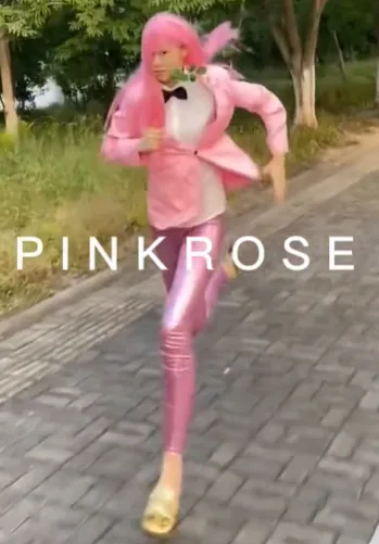 粉色蔷薇是什么梗  粉色蔷薇切尔西 粉色蔷薇战衣