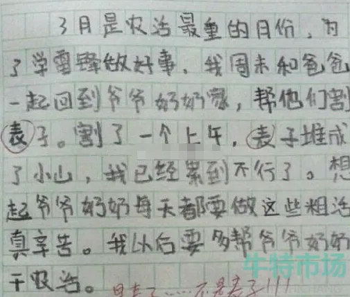 网络用语麦子梗的意思介绍