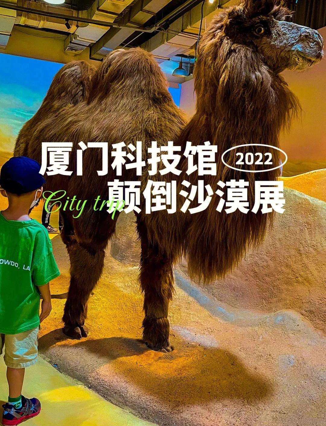 厦门科技馆门票价格(厦门科技馆门票价格2020)