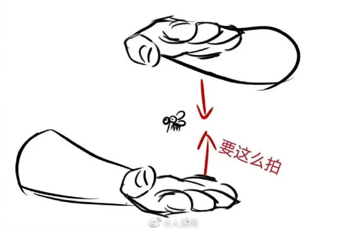 一个更容易打到蚊子的方法  梦到打蚊子 一个更容易打到蚊子的方法英语