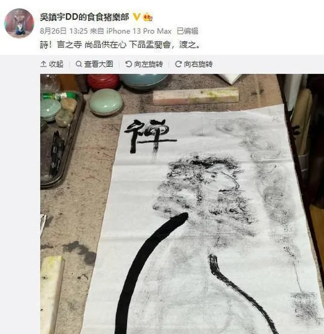 吴镇宇14岁儿子自曝确诊新冠 吴费曼确诊新冠