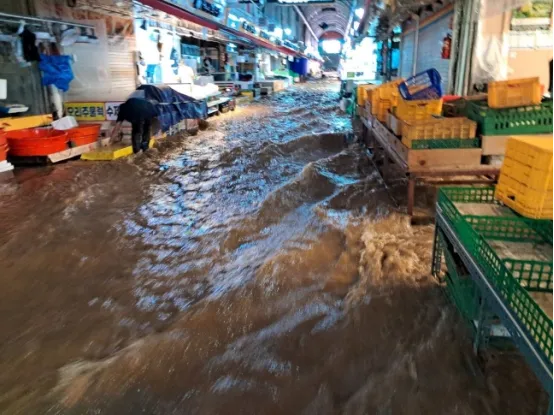韩国暴雨 首尔上演现实版《寄生虫》 韩国暴雨洪水