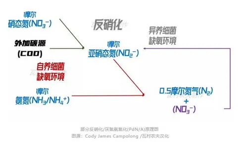 入河排污口管理 入河排污口管理技术导则