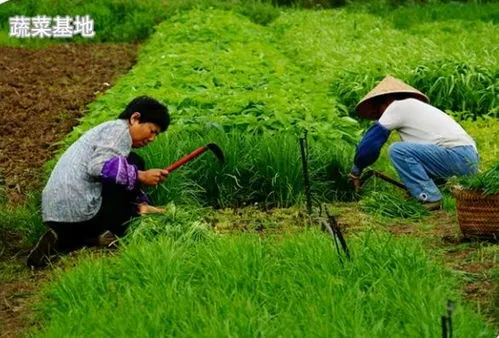 种地吧少年十个人简介 种地吧少年十个人都是哪里的