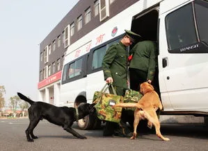 消防搜救犬训导员 消防搜救犬训导员是消防兵吗