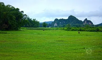 农村自然风景 农村自然风景句子