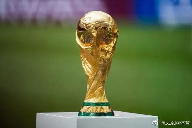 外媒曝中国有意申办2030年世界杯 中国是否申办2030年世界杯