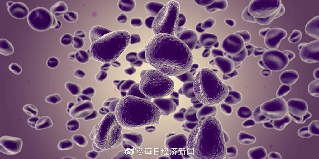 日本猴痘疫情全球一级旅行警告 日本就猴痘疫情发布海外旅行风险提示