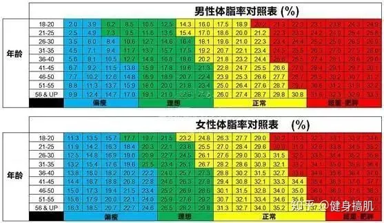 体脂率怎么计算,体脂率计算公式一览表？