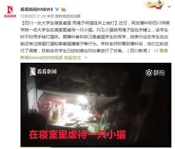 虐杀动物不犯法 虐杀动物违法么