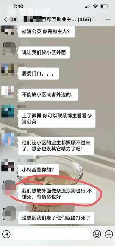 上海一柯基被打死 主人发声 上海一小区宠物狗被扑杀 居委会回应