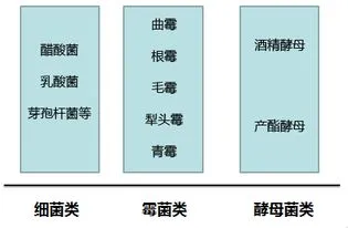 固态法白酒是什么意思 固态法白酒是什么意思是勾兑