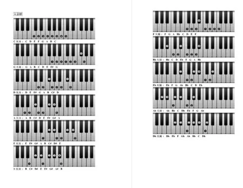 钢琴键与数字1234567对照表 钢琴键与数字1234567对照表图片