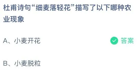 杜甫诗句“细麦落轻花”描写了以下哪种农业现象?蚂蚁庄园课堂答案最新4月29日