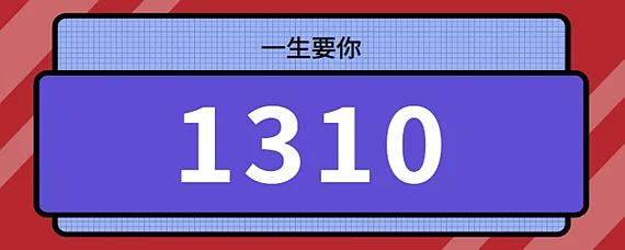 1310是什么意思