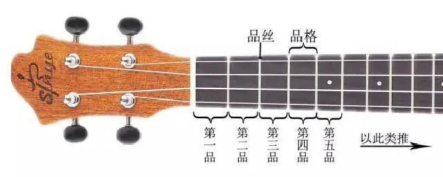 吉他1-6弦 怎么区分