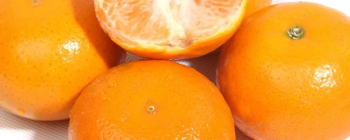 澳柑是橘子吗