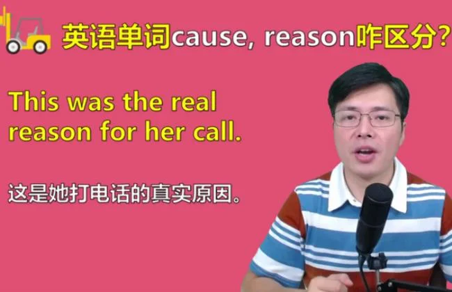 reason是什么意思