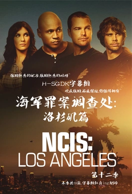 海军罪案调查处：洛杉矶篇NCIS: Los Angeles(2009) | 第14季完结